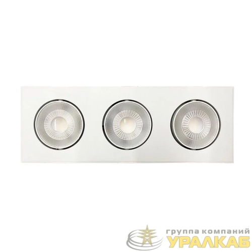 Светильник светодиодный PSP-S 413 3х8Вт 4000К IP40 40град. карданный бел. JazzWay 