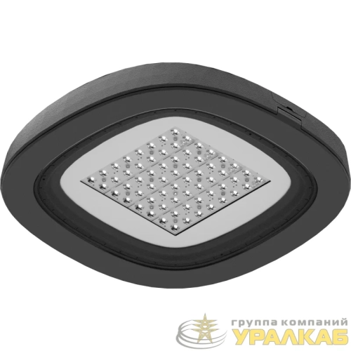 Светильник светодиодный SKYLINE LED/CAT 60W DS1 730 RAL9006 СТ 