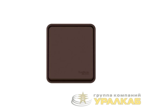 Выключатель 1-кл. ОП AtlasDesign PROFI IP54 10AX корич. SE 