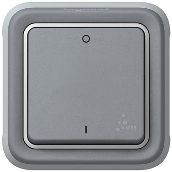 Механизм выключателя 1-кл. 2п СП Plexo 10А IP55 10AX сер. Leg 