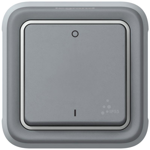 Механизм выключателя 1-кл. 2п СП Plexo 10А IP55 10AX сер. Leg 