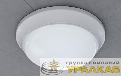Светильник 14 740 ДПБ-01-ПП-24-WH-4К-IP65 Innolux 