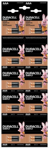 Элемент питания AAA/LR03-2BL Basic 2х10 5011646 (блист.20шт) Duracell 