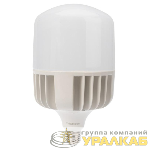 Лампа светодиодная 100Вт 6500К холод. бел. E27 высокомощная с переходником на E40 9500лм Rexant 