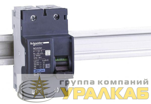 Выключатель автоматический модульный 2п C 80А 9кА NG125H SchE 