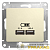Механизм розетки USB 1-м СП Glossa 5В/2100мА 2х5В/1050мА беж. SchE 