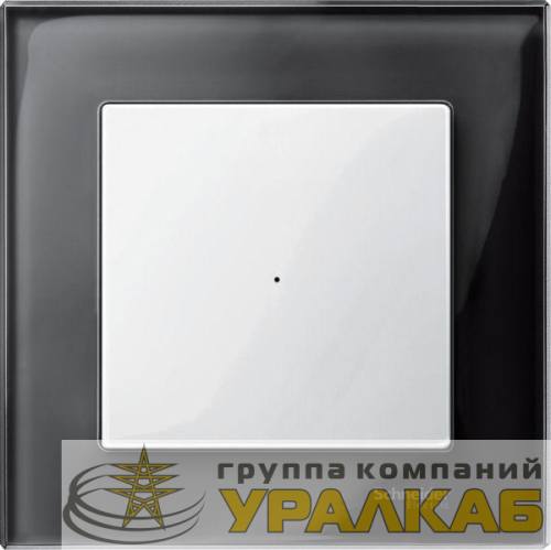 Клавиша 1-кн. SM для мод. выкл. полярно бел. SchE 
