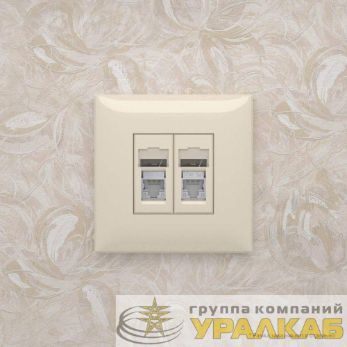 Розетка 2-м RJ-45 СП кат.5e экранированная Avanti "Ванильная дымка" DKC 