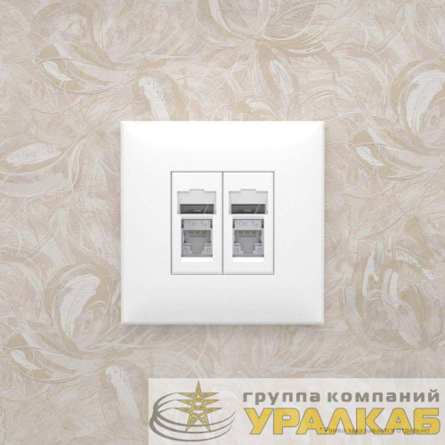 Розетка 2-м RJ-45 СП кат.5e экранированная Avanti "Белое облако" DKC 