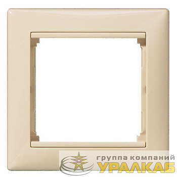 Рамка 1-м Valena горизонт. сл. кость (DIY-упак.) Leg 