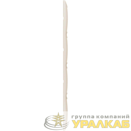 Рамка 4-м Valena горизонт. сл. кость Leg 
