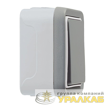Переключатель проходной 1-кл. 1п ОП Plexo 10А IP55 250В сер. Leg 