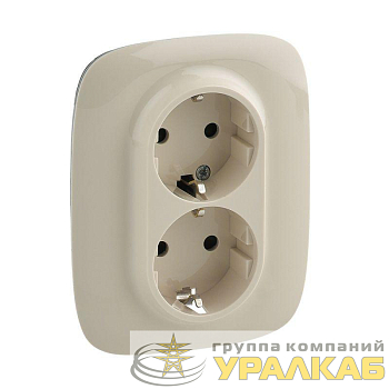 Розетка 2-м СП Valena Allure 16А IP20 250В 2х2P+E защ. шторки безвинт. клеммы с лицев. панелью сл. кость Leg 