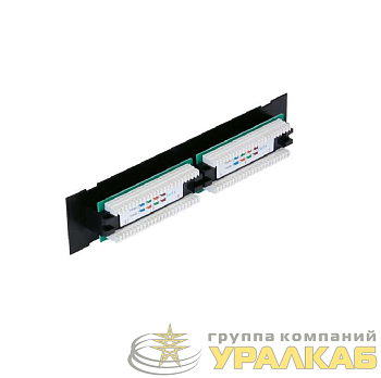 Панель коммутационная настенная 12 портов кат.5e класс D 100МГц RJ45/8P8C 110 T568A/B неэкран. черн. NETLAN EC-UWP-12-UD2