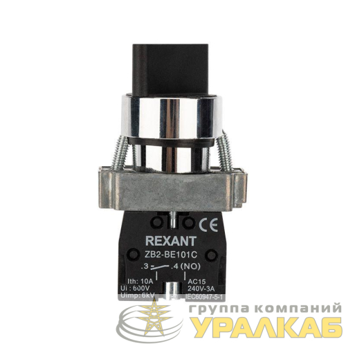 Переключатель BD21 2P короткая ручка NO Rexant 