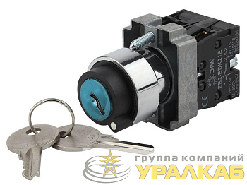 Переключатель LAY5-BG45 2 полож. с ключом без фиксации BSW80-BG-2-K02E ЭРА 