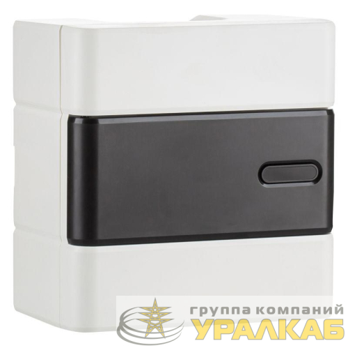Щит распределительный навесной ЩРН-П-06 Trend BOXS-06-p-s-t IP41 ЭРА 
