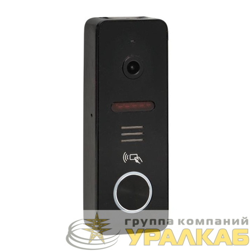 Видеопанель вызывная CPV-02 1000TVL IP65 со считыв. ключей 4пр. черн. EKF 