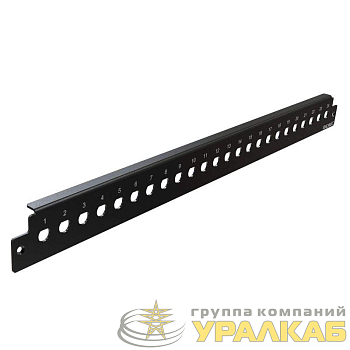 Панель лицевая для установки 24 адаптеров ST-Simplex 1U черн. DKC 