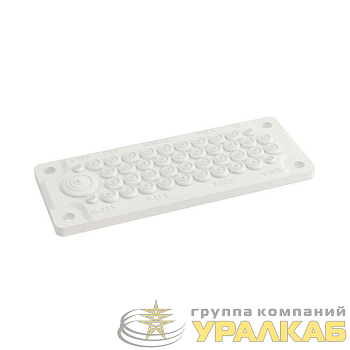 Ввод кабельный пластик V0 UL94 IP65 +100 -40град. 43 отверстия FL21 DKC 