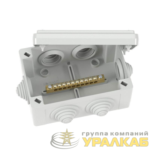 Коробка уравнивания потенциалов 10 зажимов 6 вводов д.25мм 120х80х50мм IP55 DKC 