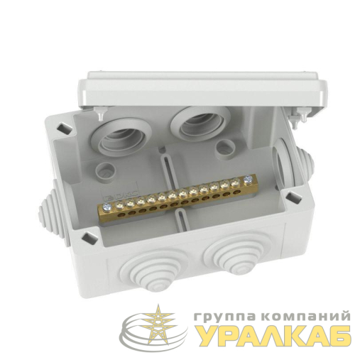 Коробка уравнивания потенциалов 12 зажимов 6 вводов д.25мм 120х80х50мм IP55 DKC 