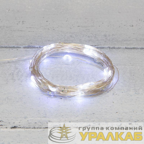 Гирлянда светодиодная "Роса" 10м 100LED бел. 1Вт IP20 USB Neon-Night 