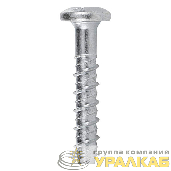 Анкер-шуруп для бетона с цилиндрической головкой TORX 6х50мм (уп.100шт) DKC 