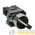 Переключатель BD21 2P короткая ручка NO IP65 PROxima EKF 