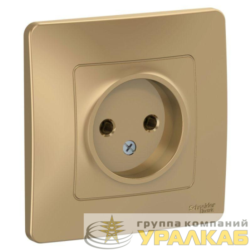 Розетка 1-м СП Blanca 16А IP20 250В без заземл. без защ. шторок титан SE 