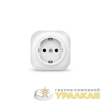 Розетка 1-м ОП 16А IP20 с заземл. бел. IONICH 