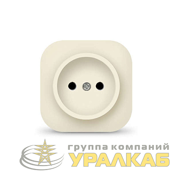 Розетка 1-м ОП 10А IP20 без заземл. сл. кость IONICH 