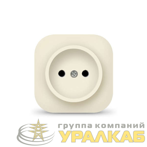 Розетка 1-м ОП 10А IP20 без заземл. сл. кость IONICH 