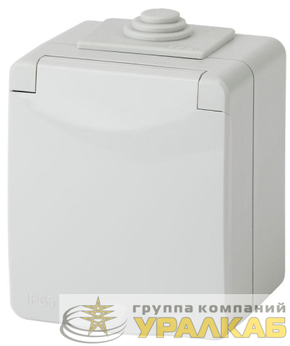 Розетка 1-м ОП Эра Эксперт 11-2601-03 16А IP65 250В 2P+E сер. Эра 
