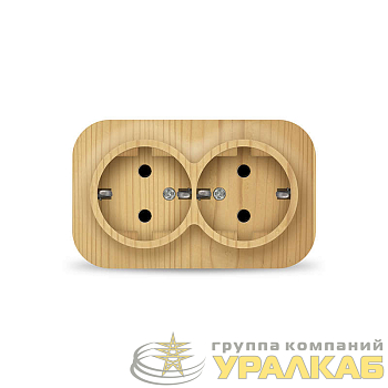 Розетка 2-м ОП 16А IP20 с заземл. сосна IONICH 
