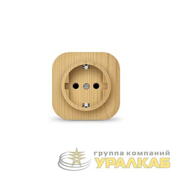 Розетка 1-м ОП 16А IP20 с заземл. сосна IONICH 