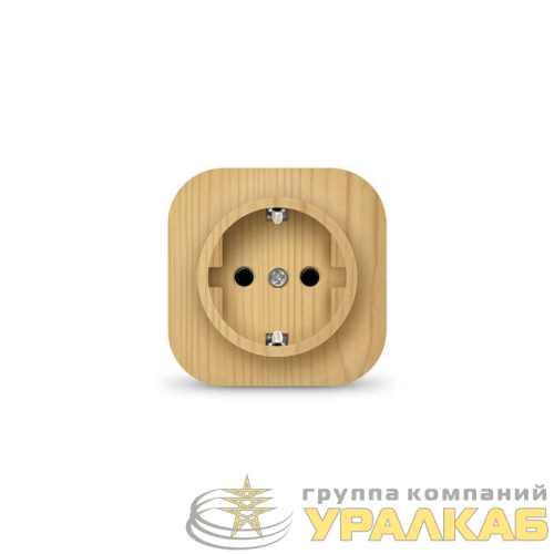 Розетка 1-м ОП 16А IP20 с заземл. сосна IONICH 