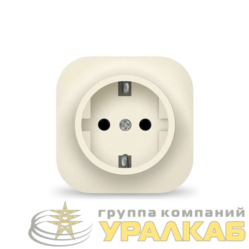 Розетка 1-м ОП 16А IP20 с заземл. сл. кость IONICH 