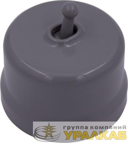 Выключатель проходной 1-кл. (тумблерный) пластик титан Bironi 