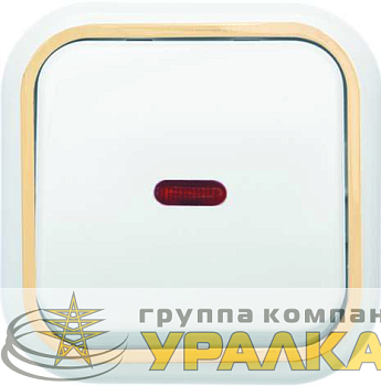 Выключатель 1-кл. ОП Валентина 10А IP20 А16-054 с индикацией бел./зол. Кунцево 