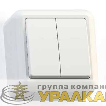 Выключатель 2-кл. ОП Оптима 10А IP20 А510-380 с монтаж. пластиной сл. кость Кунцево 