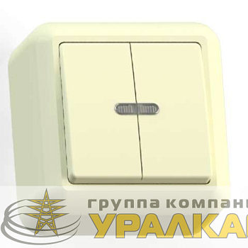 Выключатель 2-кл. ОП Оптима 10А IP20 А510-387 с индикацией с монтаж. пластиной сл. кость Кунцево 