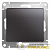 Переключатель проходной 1-кл. СП Glossa 10А IP20 (сх. 6) 10AX механизм графит SE 