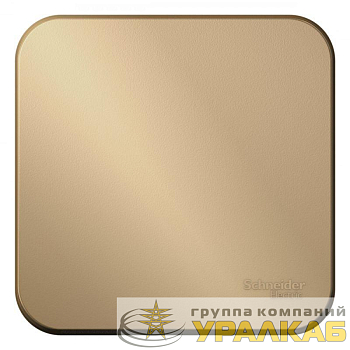 Переключатель проходной 1-кл. ОП Blanca 10А IP20 (сх. 6) 250В с изолир. пластиной титан SE 