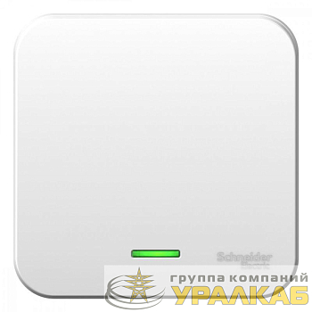 Выключатель 1-кл. ОП Blanca 10А IP20 (сх. 1) 250В с подсветкой с изолир. пластиной бел. SE 