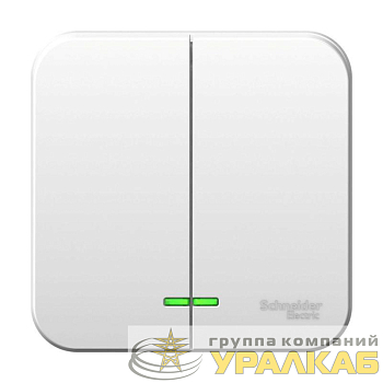 Выключатель 2-кл. ОП Blanca 10А IP20 (сх. 5) 250В с подсветкой с изолир. пластиной бел. SE 