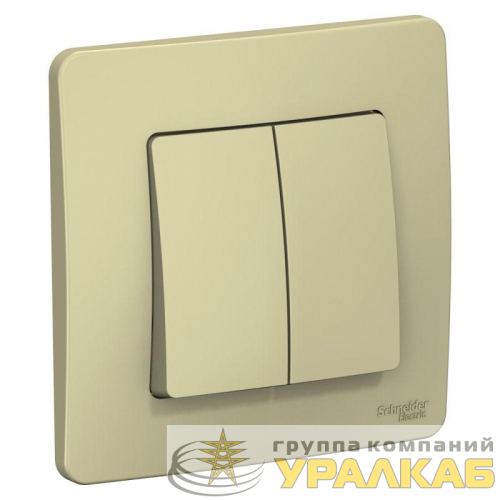 Выключатель 2-кл. СП Blanca 10А IP20 (сх. 5) 250В беж. SE 