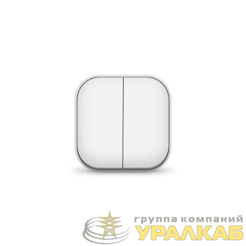 Выключатель 2-кл. ОП 10А IP20 бел. IONICH 