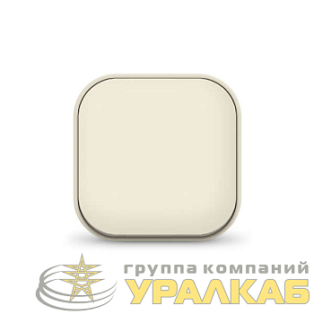 Выключатель 1-кл. 1п ОП 10А IP20 сл. кость IONICH 
