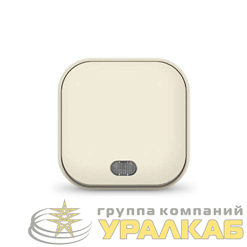 Выключатель 1-кл. 1п ОП 10А IP20 с подсветкой сл. кость IONICH 